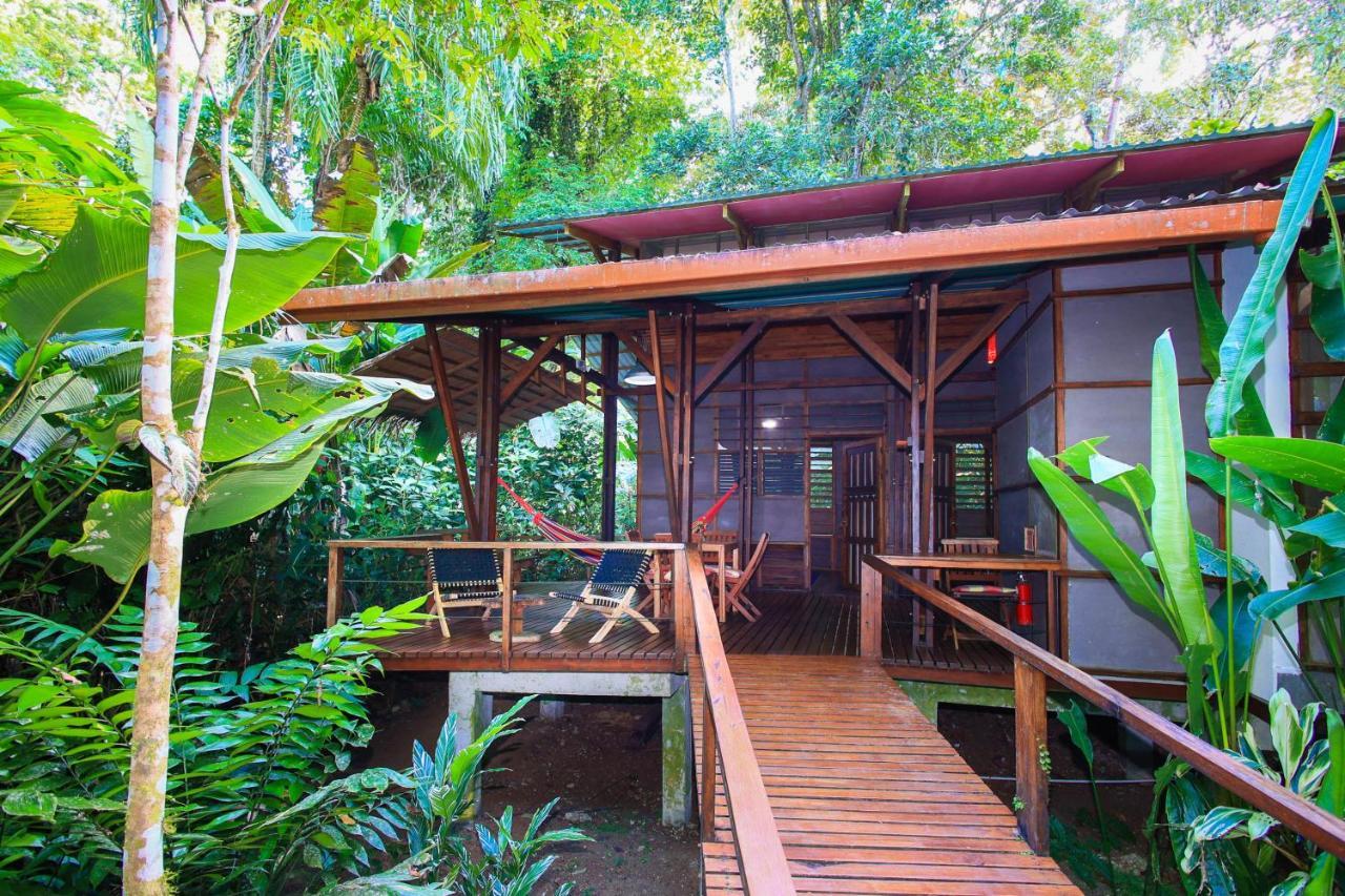 La Kukula Lodge Puerto Viejo de Talamanca Exteriér fotografie