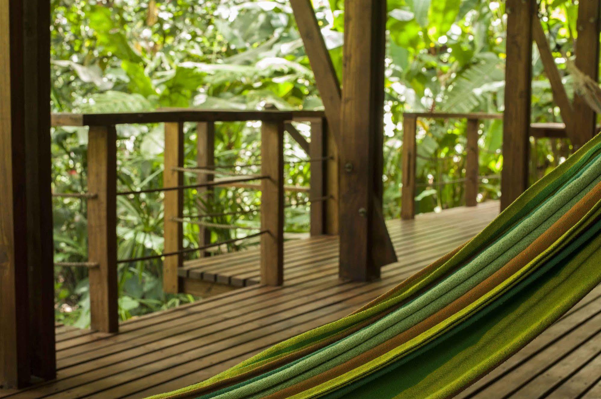 La Kukula Lodge Puerto Viejo de Talamanca Exteriér fotografie